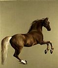 Whistlejacket by George Stubbs